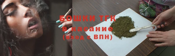 прущие грибы Алзамай