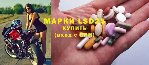 прущие грибы Алзамай
